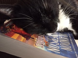 Cat sleeping on book way of kings fantasy